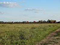 Imagine atasata: A1-Tm-Lg-dorum-2014-Aug-06.JPG